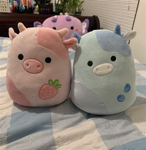 big blue squishmallow|blueberry cow squishmallow.